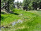 photo thumbnail #12