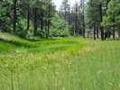 photo thumbnail #13