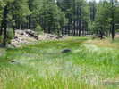 photo thumbnail #14