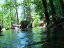 photo thumbnail #11