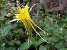 photo thumbnail #13