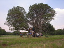 Featured Full Photo
