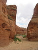 photo thumbnail #8