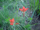 photo thumbnail #4