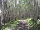 photo thumbnail #1