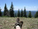 photo thumbnail #6