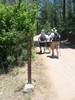 photo thumbnail #9