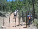 photo thumbnail #13