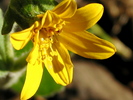 photo thumbnail #8