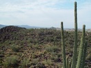 photo thumbnail #5
