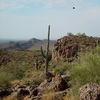 photo thumbnail #9