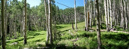 photo thumbnail #3