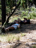 photo thumbnail #12