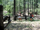photo thumbnail #14