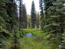 photo thumbnail #9