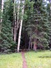 photo thumbnail #11