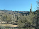 photo thumbnail #8