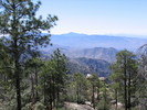 photo thumbnail #3