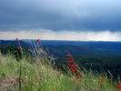 photo thumbnail #13