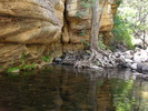 photo thumbnail #13
