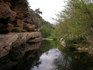 photo thumbnail #14