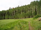 photo thumbnail #8