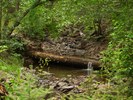 photo thumbnail #4