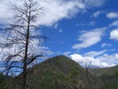 photo thumbnail #7