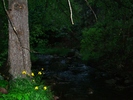 photo thumbnail #9
