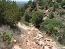 photo thumbnail #4
