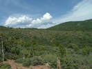 photo thumbnail #1