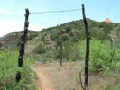 photo thumbnail #4