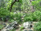 photo thumbnail #5