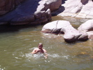 photo thumbnail #8