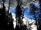 photo thumbnail #15