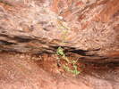 photo thumbnail #13