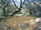 photo thumbnail #6