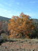 photo thumbnail #12