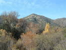 photo thumbnail #13