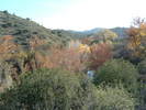 photo thumbnail #14