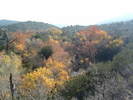 photo thumbnail #15