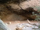photo thumbnail #13