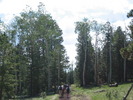 photo thumbnail #1