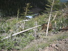 photo thumbnail #11