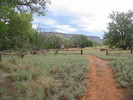 photo thumbnail #5