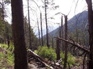 photo thumbnail #1