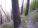 photo thumbnail #3