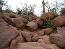 photo thumbnail #7