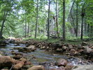 photo thumbnail #2