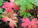 photo thumbnail #11